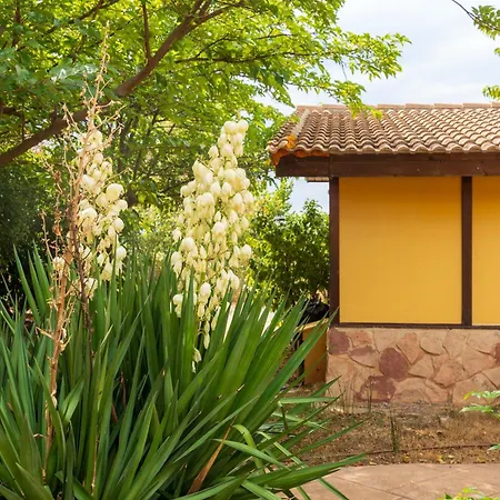 Masia Del Cura 3*