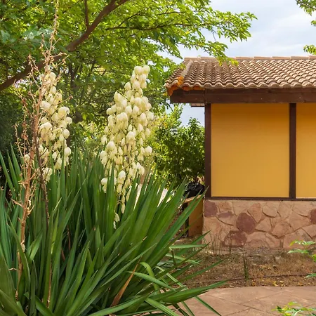 Masia Del Cura Pensjonat Rubielos De Mora