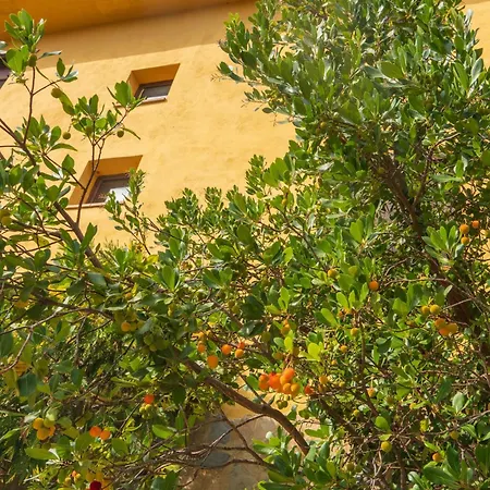 Pensjonat Masia Del Cura